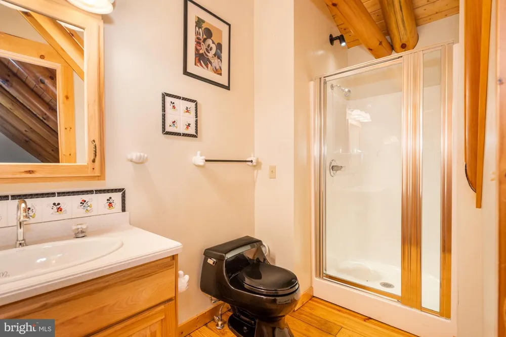 17051 LAUREL RUN ROAD SW Barton, MD 21521