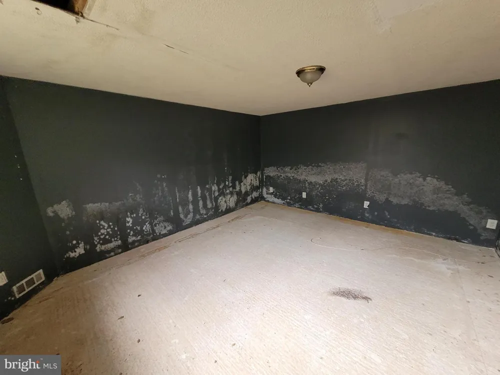 13518 BLANK ROAD NW Mount Savage, MD 21545