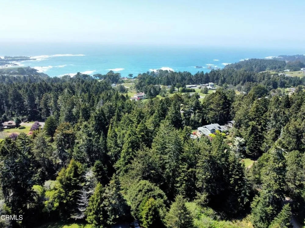 44551 Raven Lane Mendocino, CA 95460