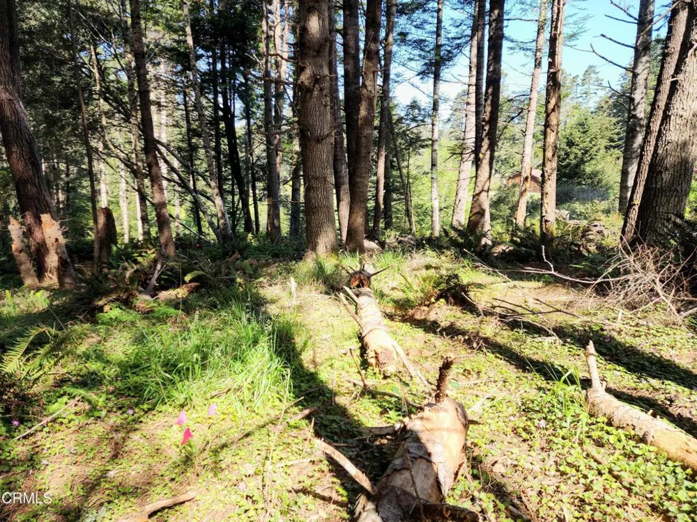 44551 Raven Lane Mendocino, CA 95460