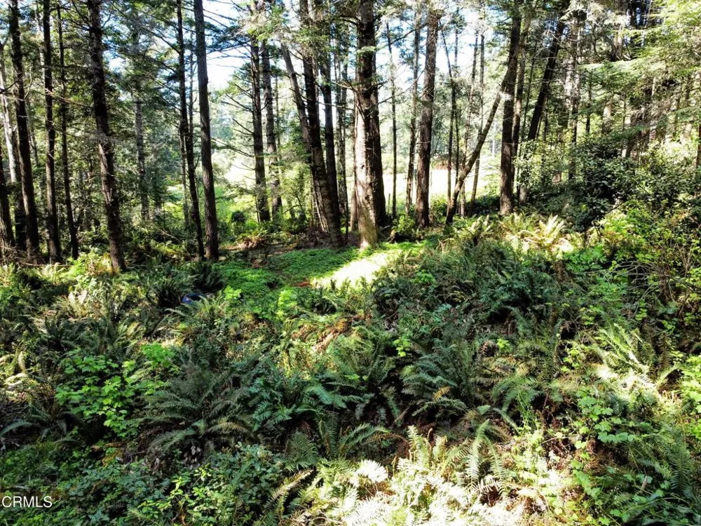 44551 Raven Lane Mendocino, CA 95460