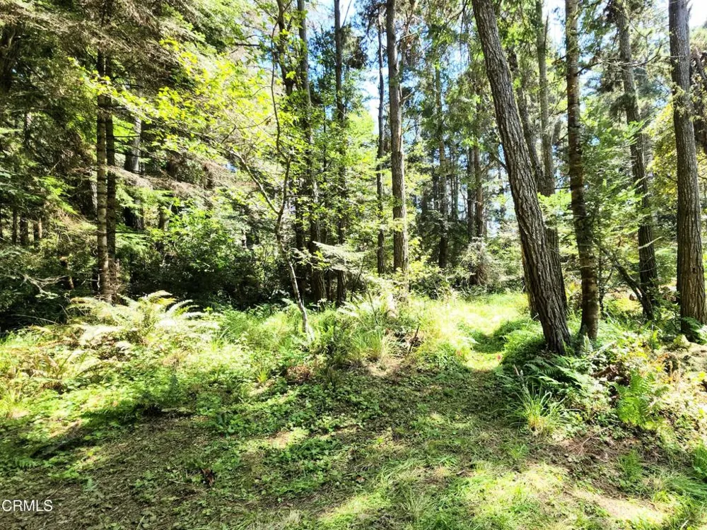 44551 Raven Lane Mendocino, CA 95460