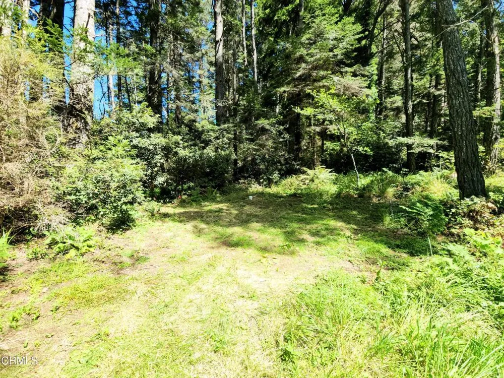 44551 Raven Lane Mendocino, CA 95460