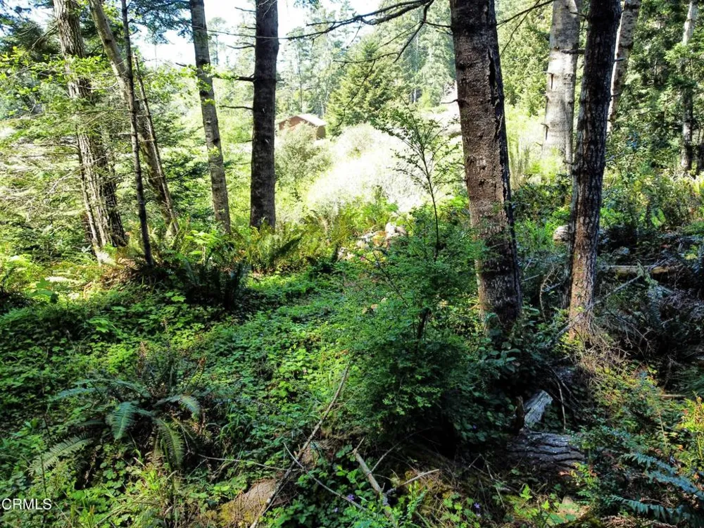44551 Raven Lane Mendocino, CA 95460