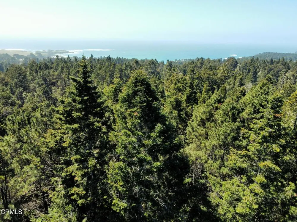44551 Raven Lane Mendocino, CA 95460
