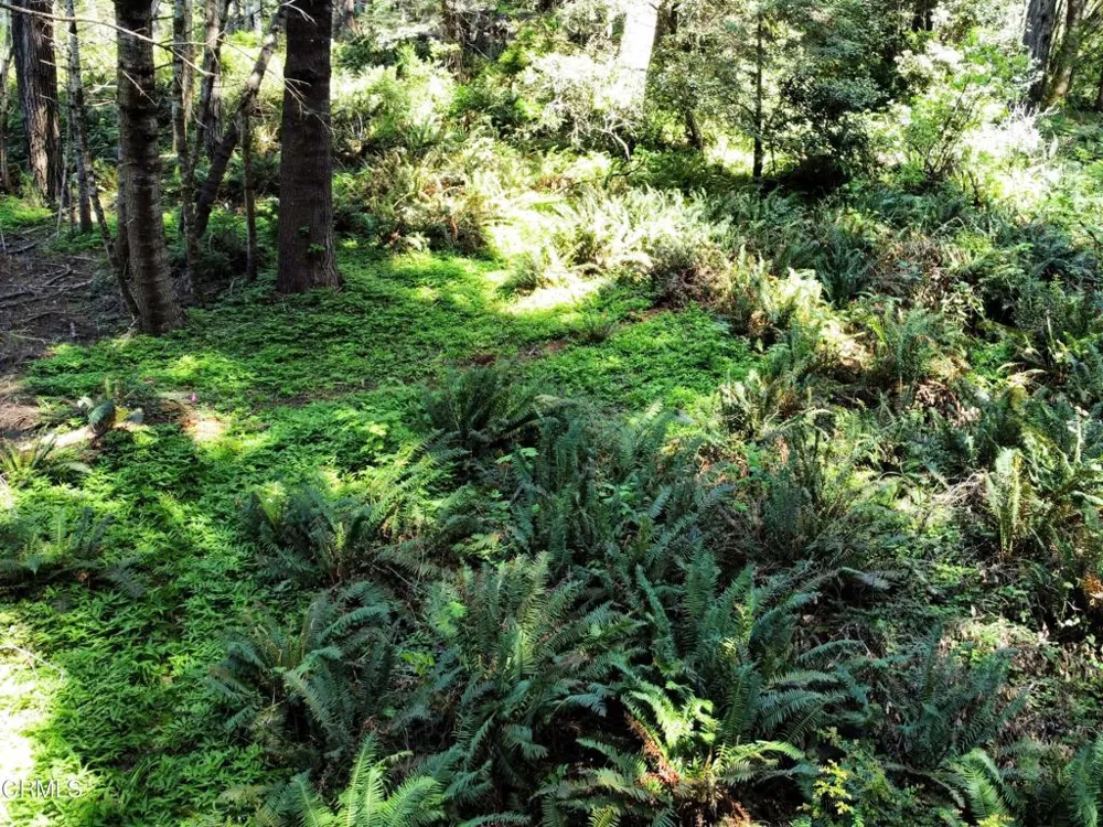 44551 Raven Lane Mendocino, CA 95460