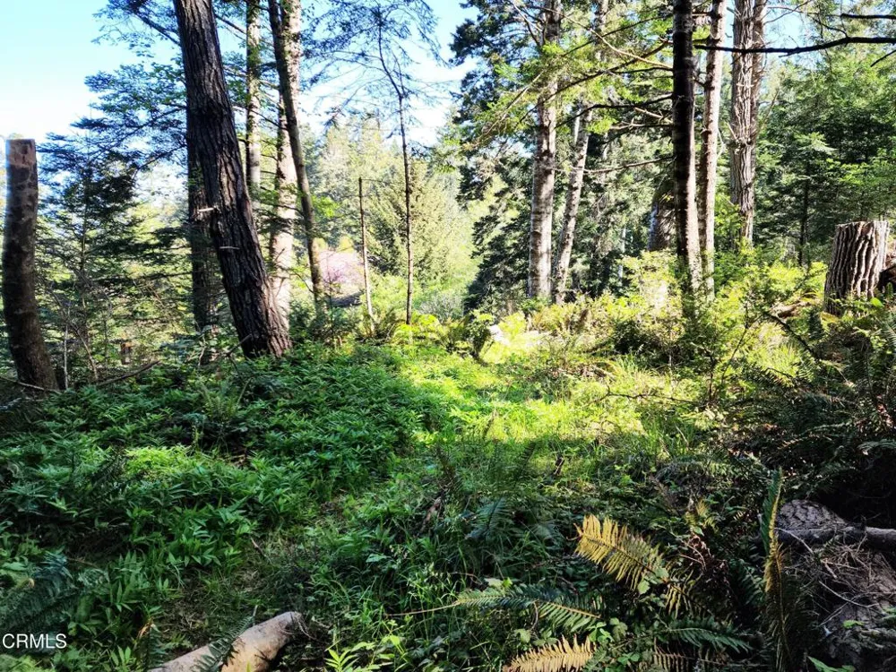 44551 Raven Lane Mendocino, CA 95460
