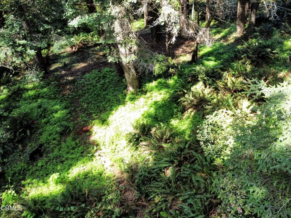 44551 Raven Lane Mendocino, CA 95460