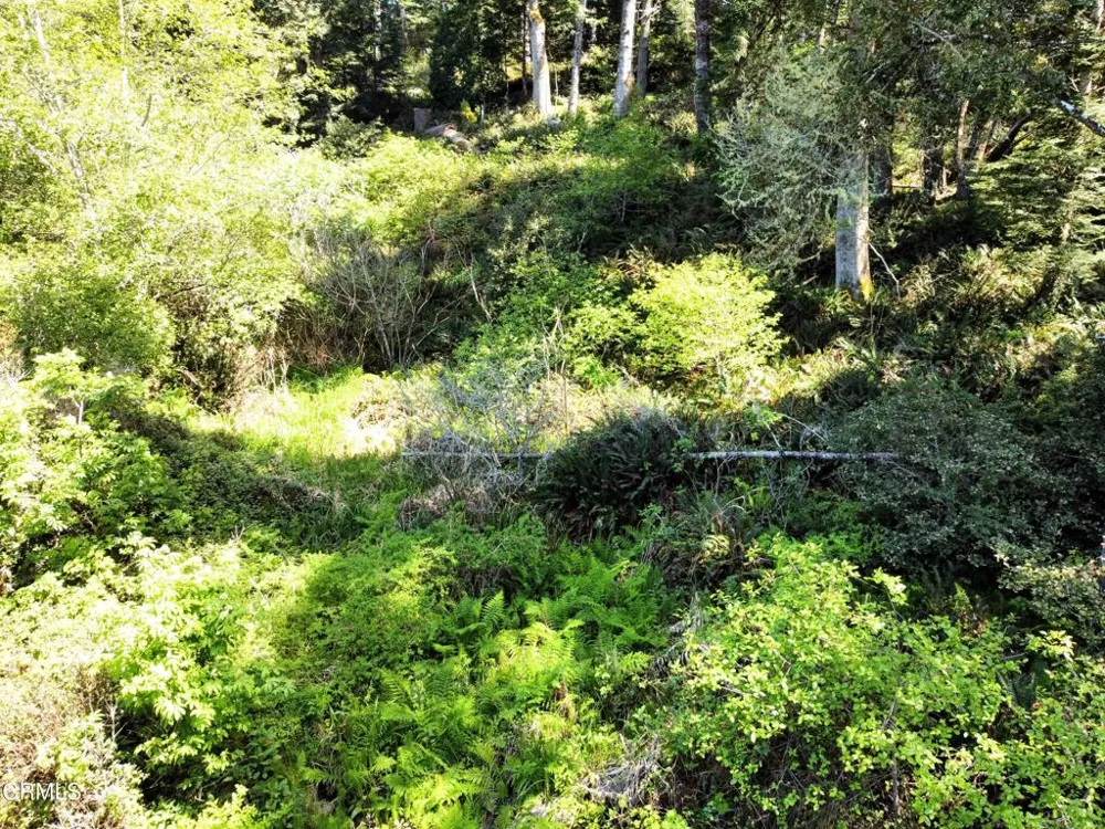 44551 Raven Lane Mendocino, CA 95460