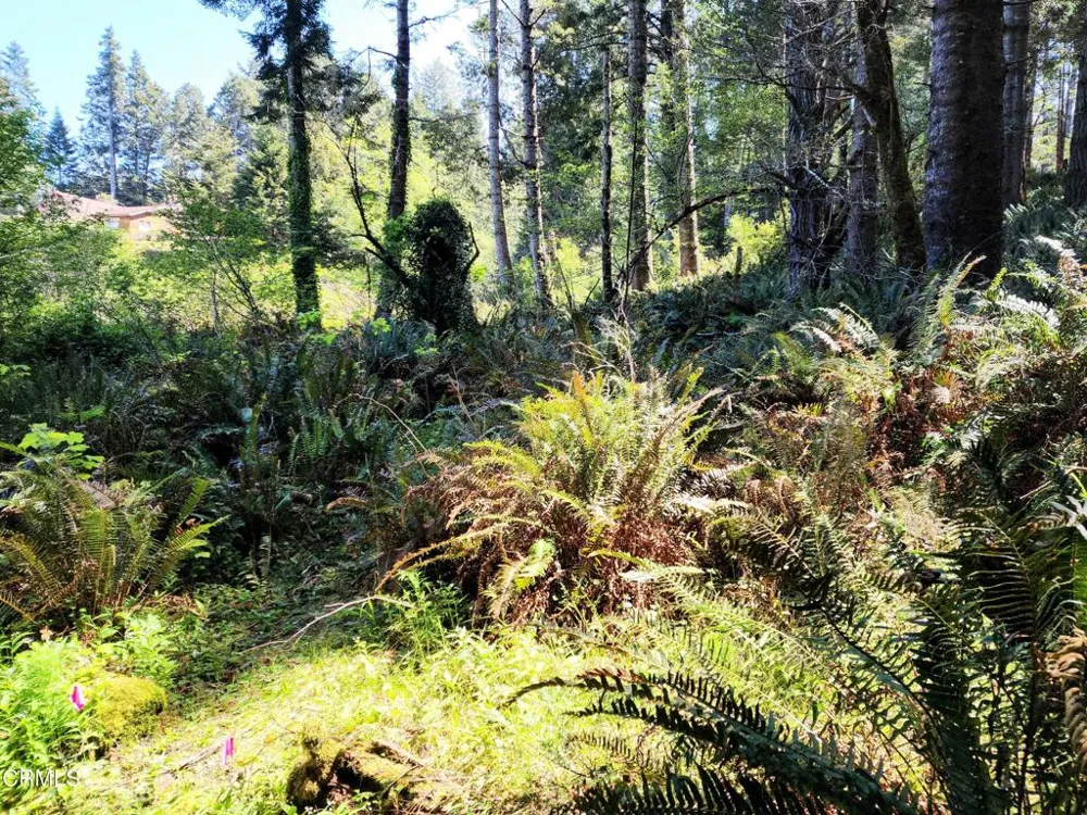 44551 Raven Lane Mendocino, CA 95460