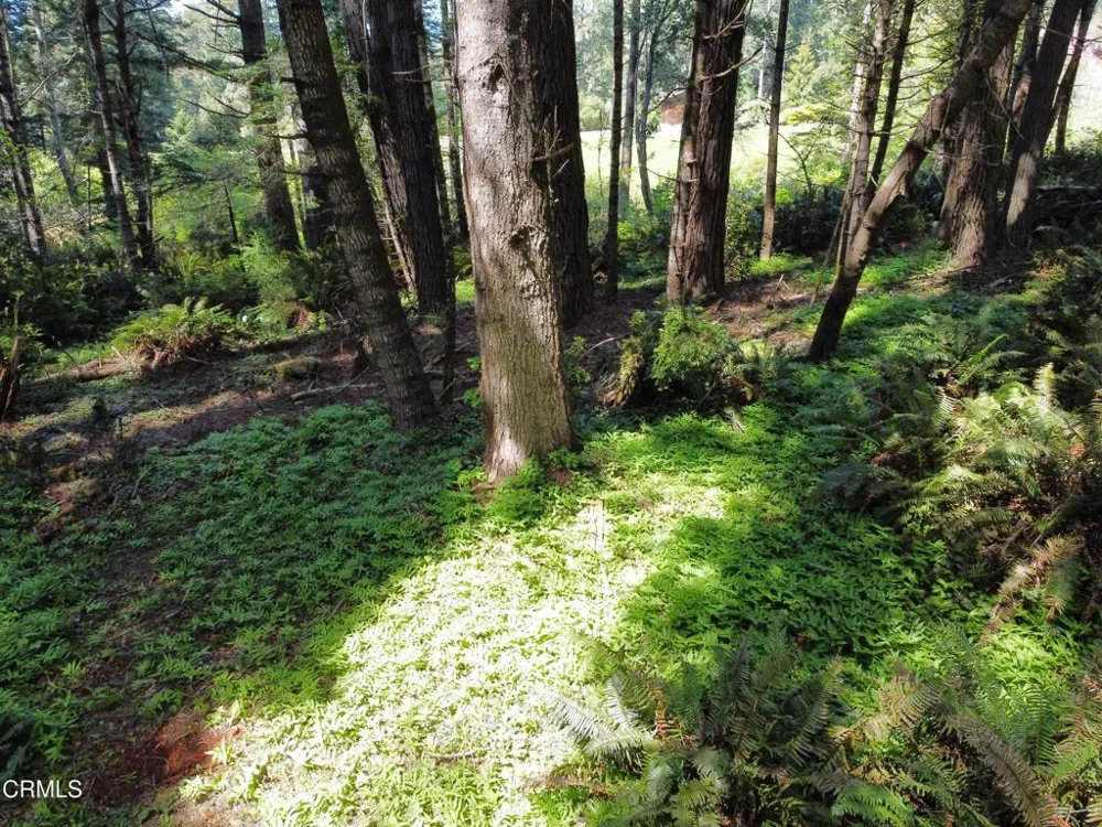 44551 Raven Lane Mendocino, CA 95460