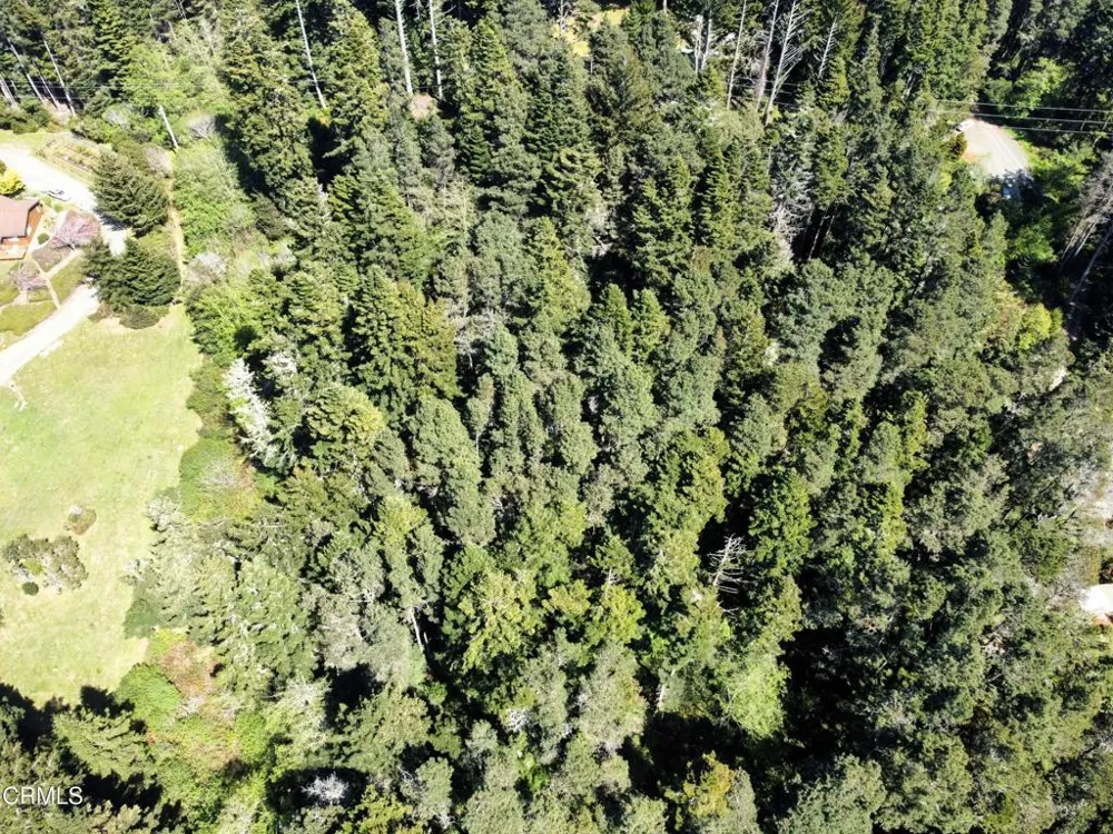 44551 Raven Lane Mendocino, CA 95460