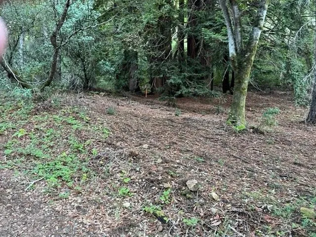 Redwood Retreat Road Gilroy, CA 95020