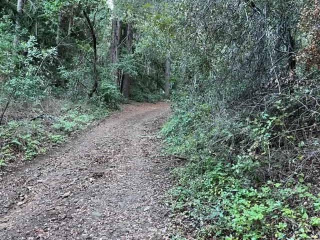 Redwood Retreat Road Gilroy, CA 95020