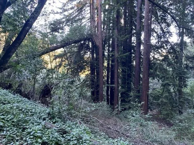 Redwood Retreat Road Gilroy, CA 95020