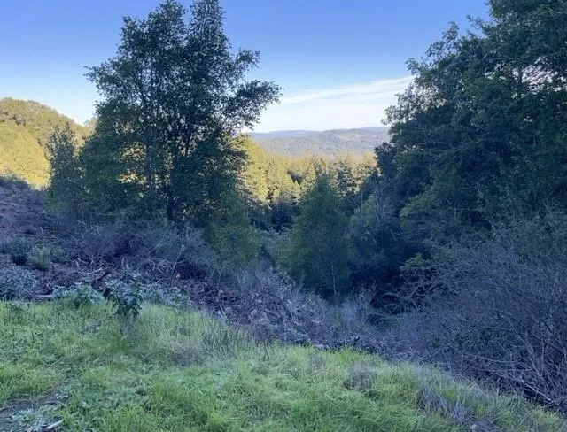 Redwood Retreat Road Gilroy, CA 95020