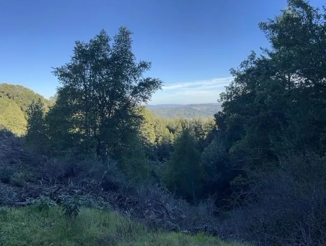 Redwood Retreat Road Gilroy, CA 95020