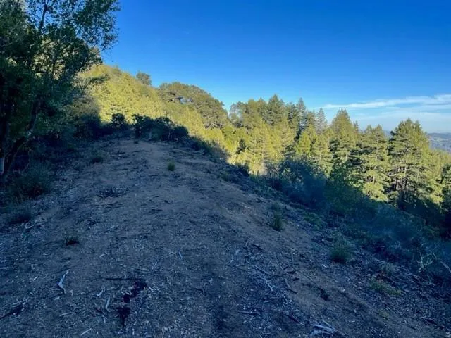 Redwood Retreat Road Gilroy, CA 95020