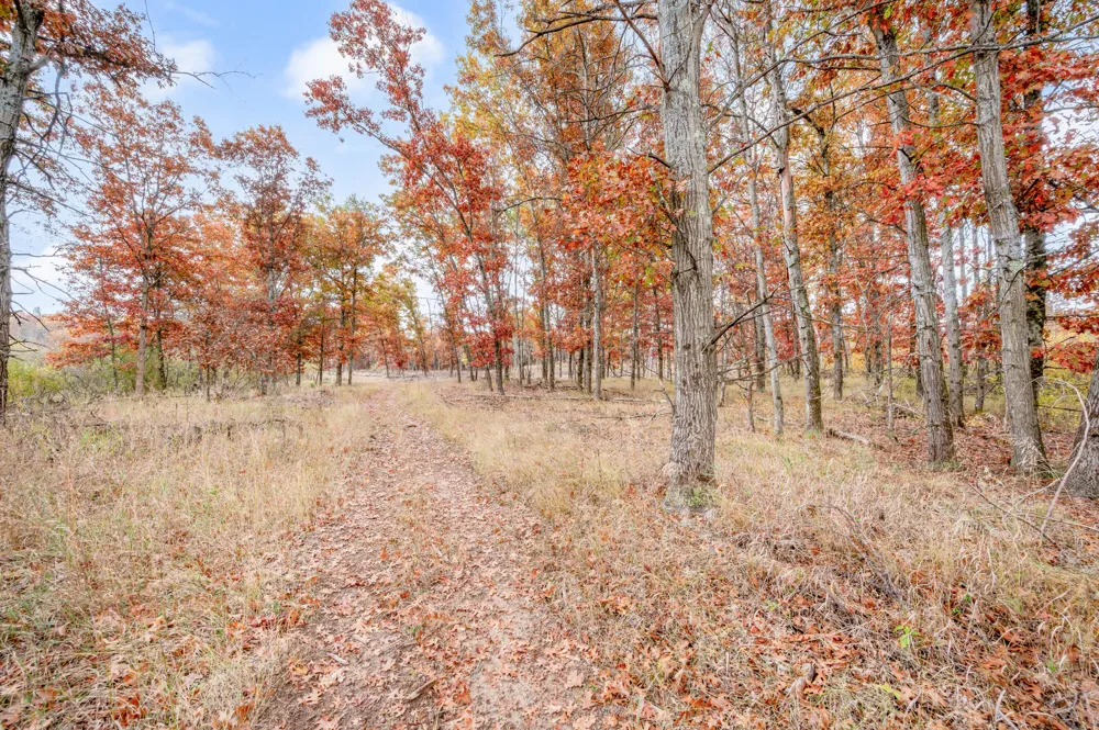 16 Mile Rd Big Rapids, MI 49307