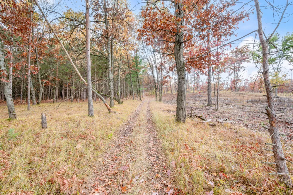 16 Mile Rd Big Rapids, MI 49307