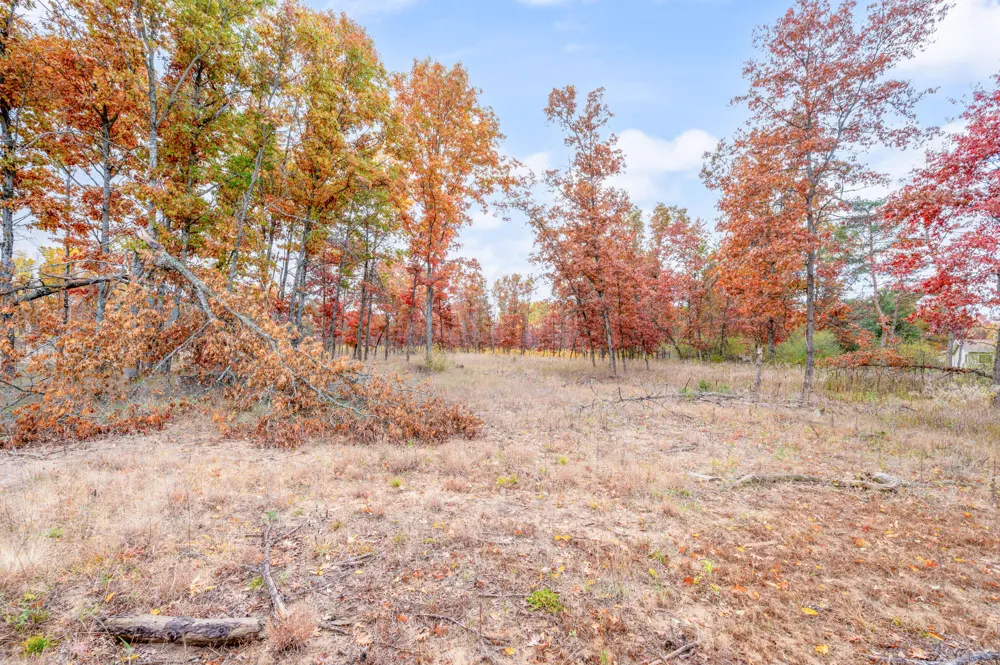 16 Mile Rd Big Rapids, MI 49307