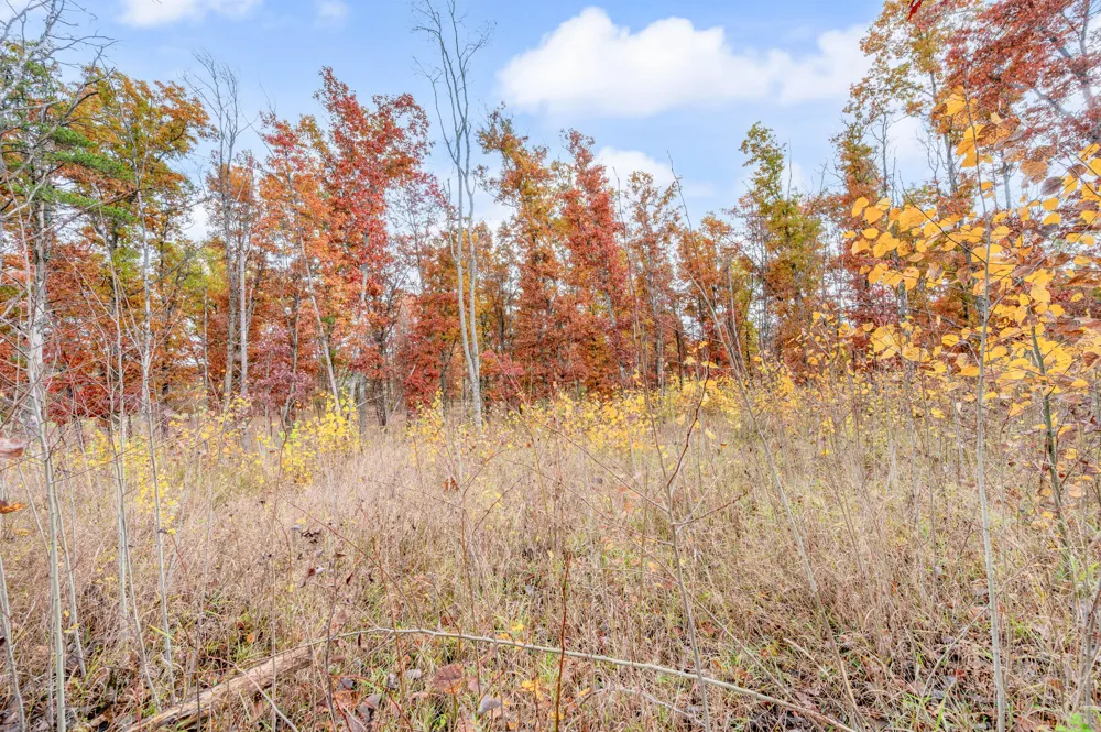 16 Mile Rd Big Rapids, MI 49307