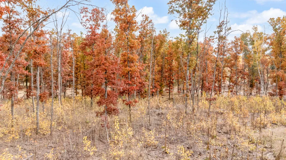 16 Mile Rd Big Rapids, MI 49307