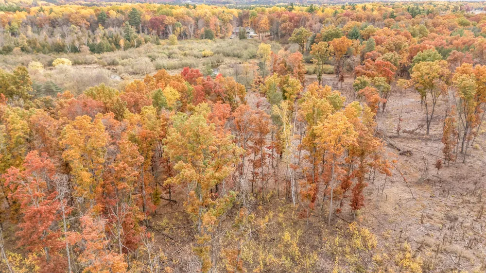 16 Mile Rd Big Rapids, MI 49307
