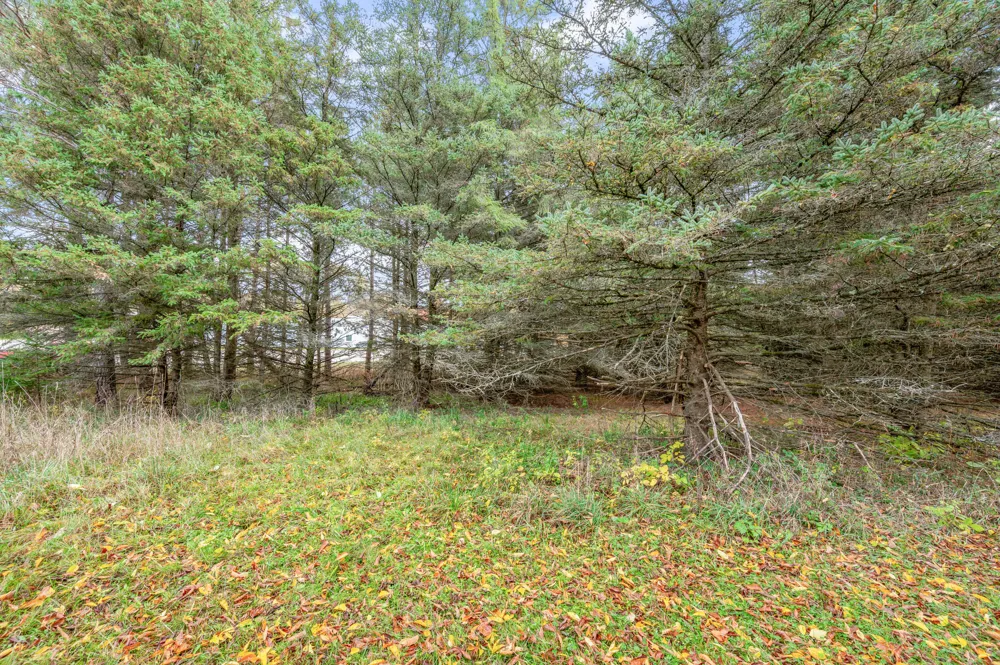 16 Mile Rd Big Rapids, MI 49307