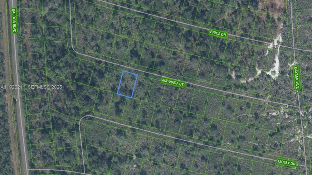 8725 MAYNADA ST Sebring, FL 33872