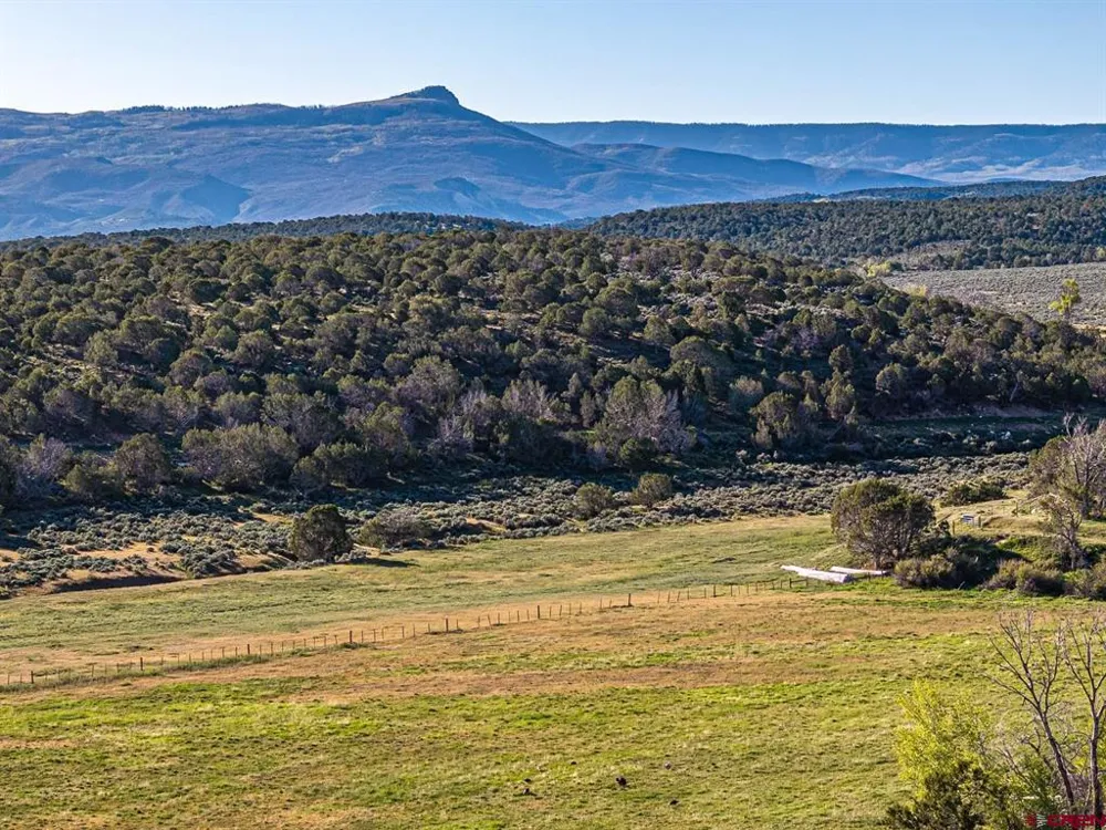 2741 7750 ROAD Crawford, CO 81415