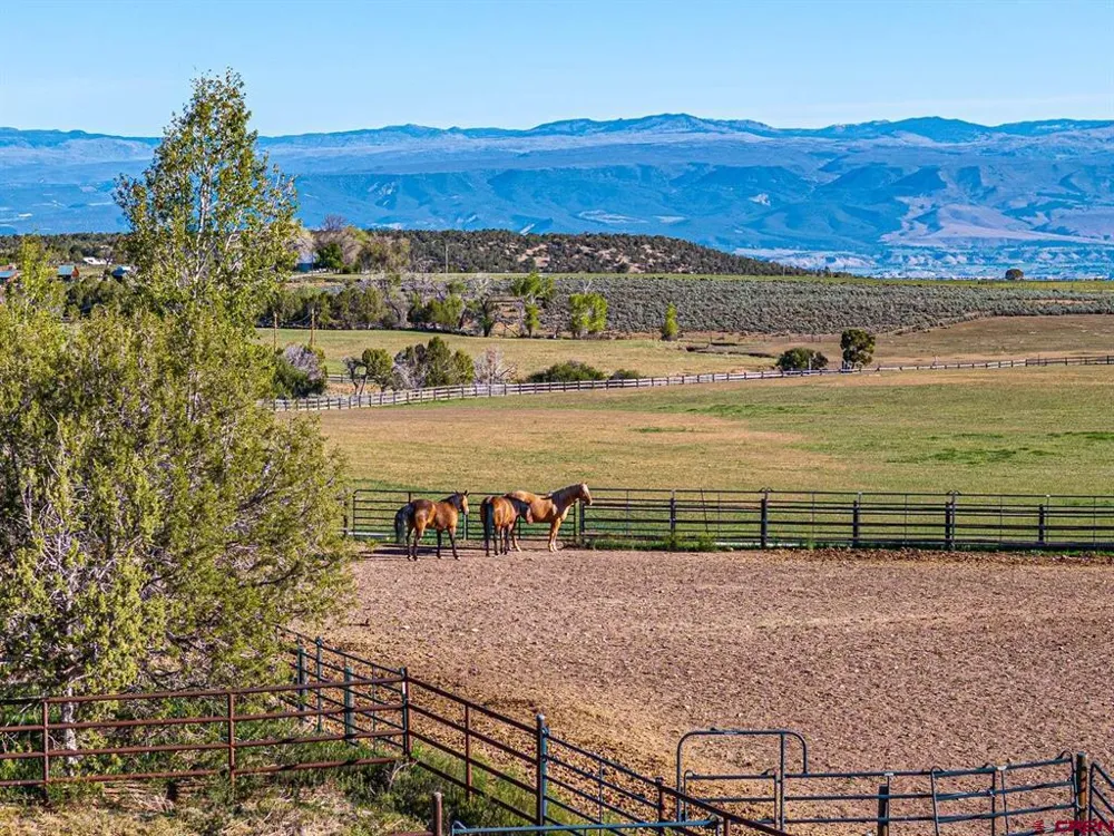 2741 7750 ROAD Crawford, CO 81415