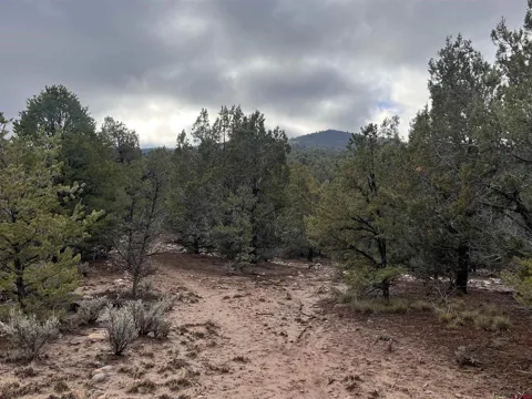 2114 County Road 318