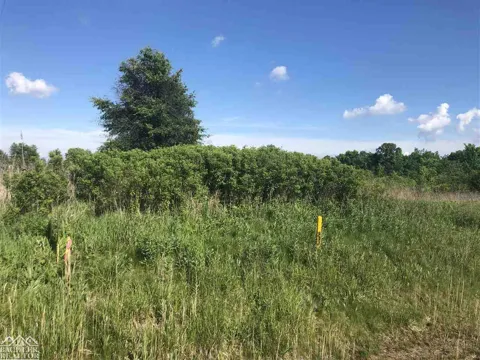 Wadhams Road