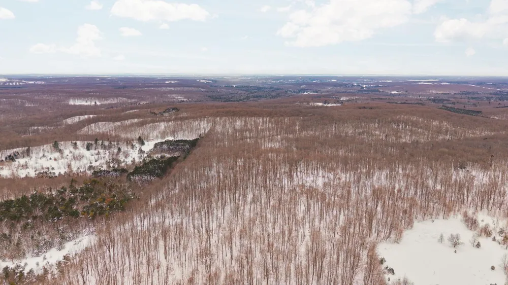 Stark Road Chestonia Township, MI 49659