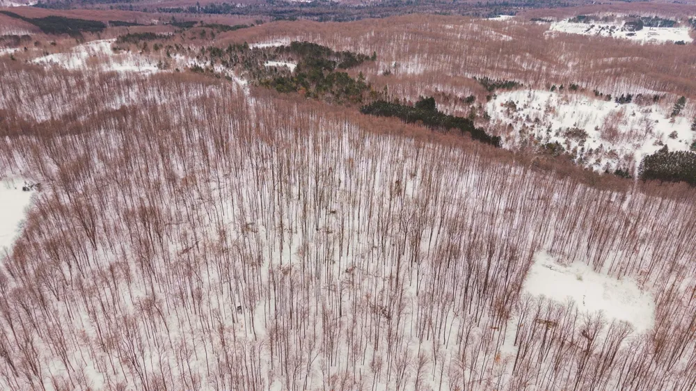 Stark Road Chestonia Township, MI 49659