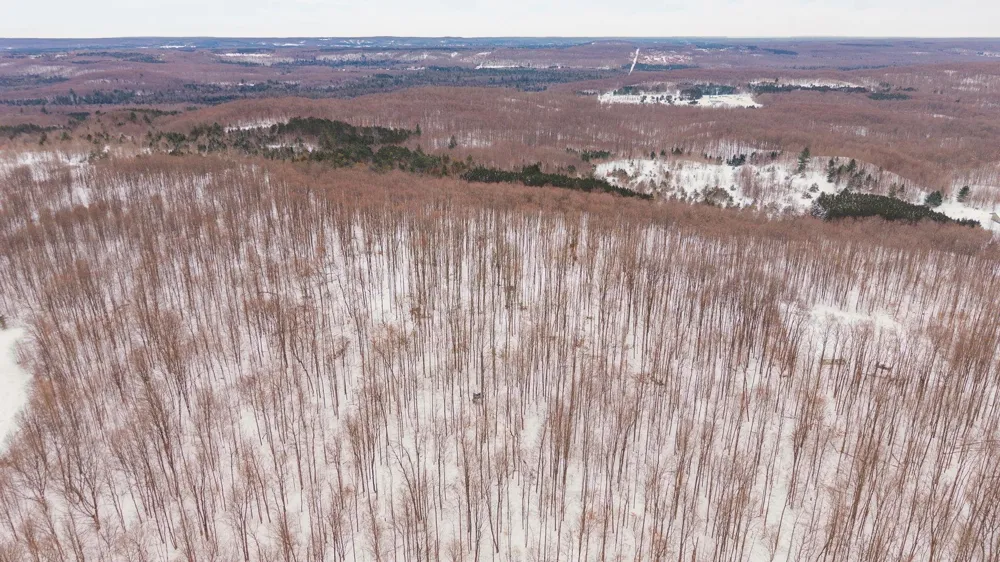 Stark Road Chestonia Township, MI 49659
