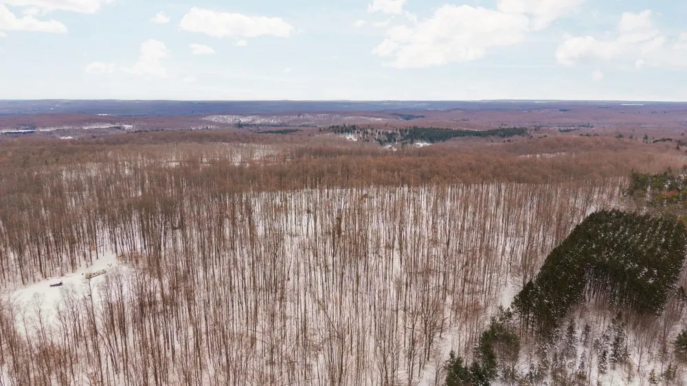 Stark Road Chestonia Township, MI 49659