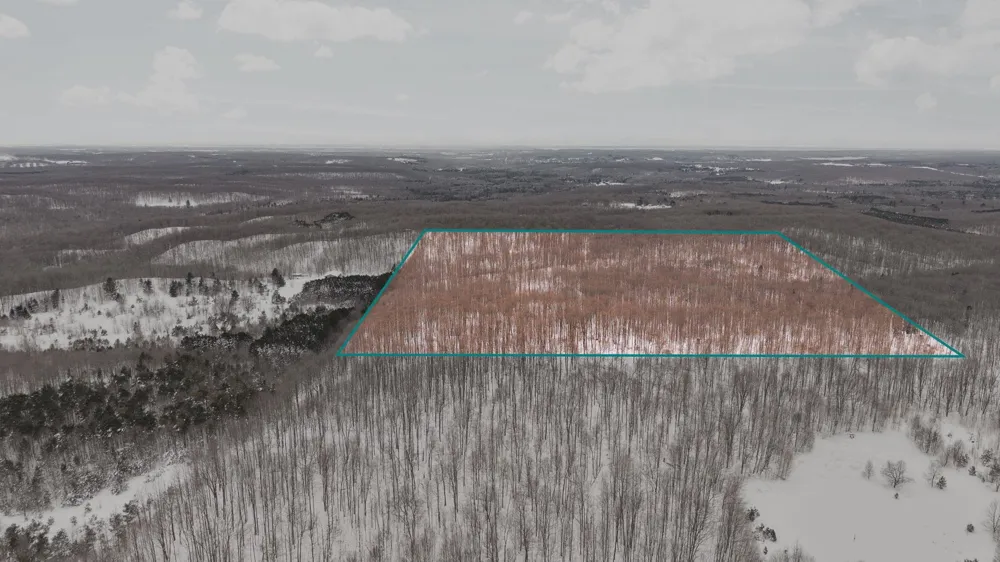 Stark Road Chestonia Township, MI 49659