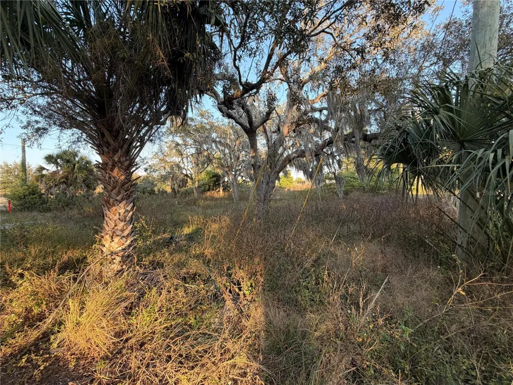 13934 LITEWOOD DRIVE Hudson, FL 34669