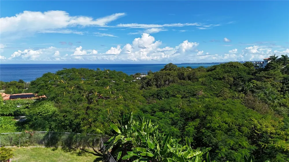 Km 4.4 CARR 413 PUNTAS Rincon, PR 00677