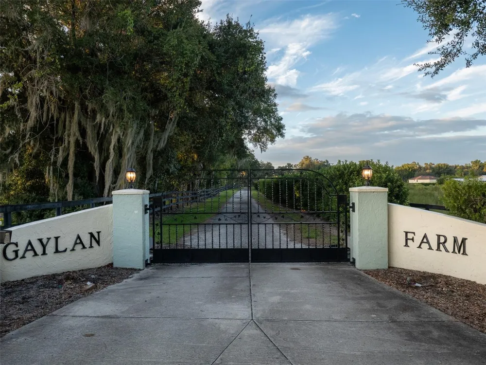 9481 W HIGHWAY 316 Reddick, FL 32686