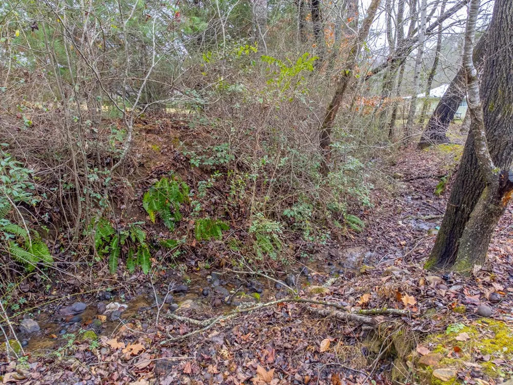 Quail Ridge Trail Franklin, NC 28734