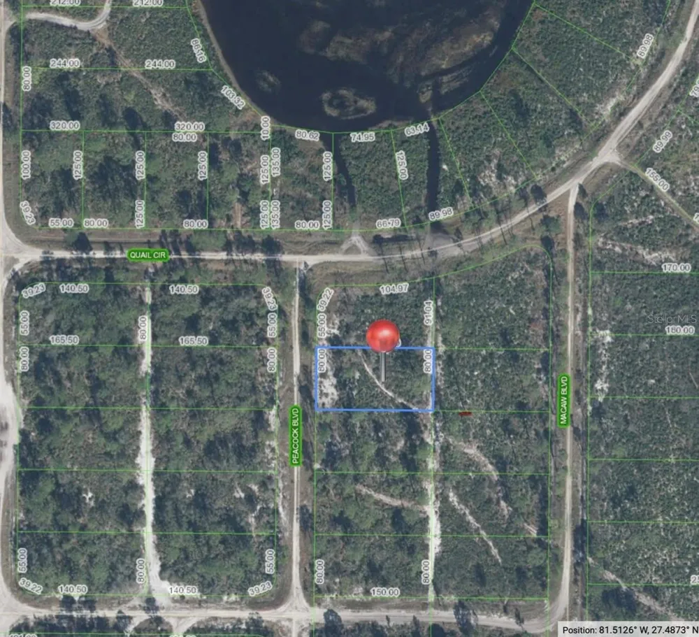 226 PEACOCK BOULEVARD Sebring, FL 33872