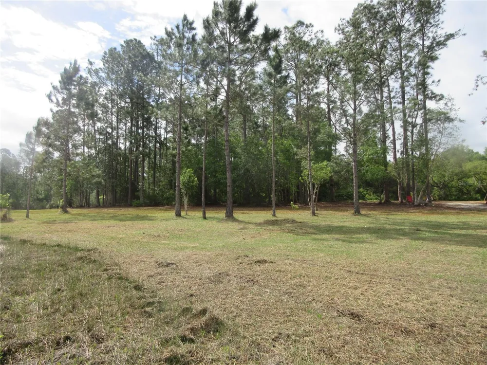 0 SE 10TH STREET Silver Springs, FL 34488