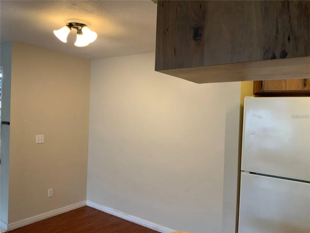 233 RED MAPLE PLACE #233 Brandon, FL 33510