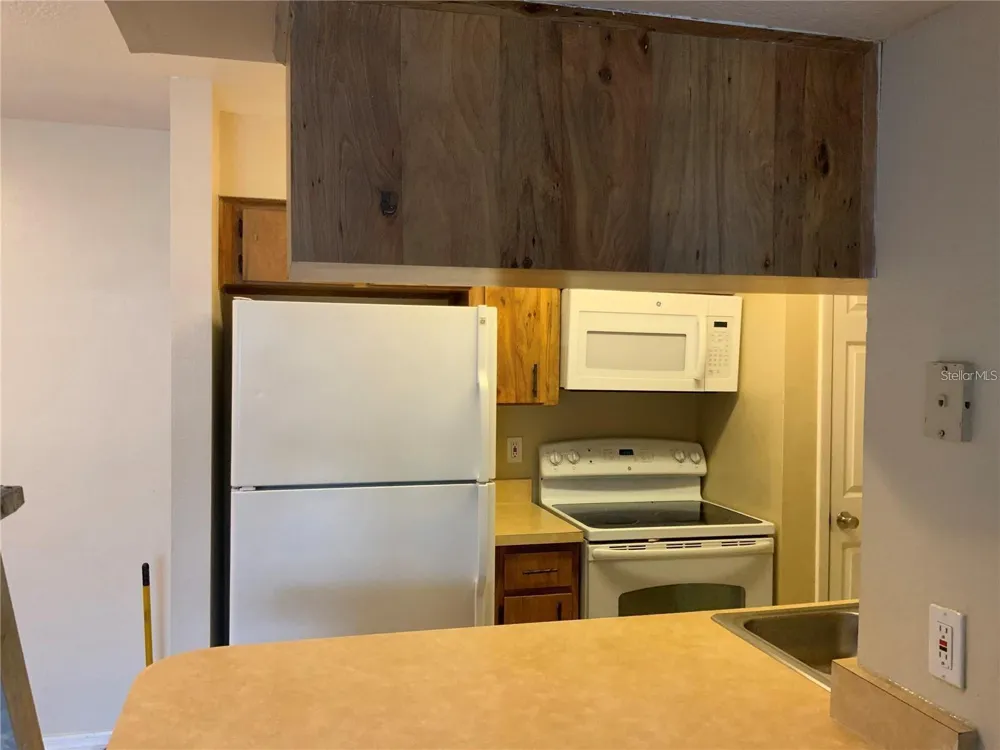 233 RED MAPLE PLACE #233 Brandon, FL 33510