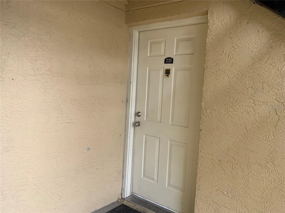 233 RED MAPLE PLACE #233 Brandon, FL 33510