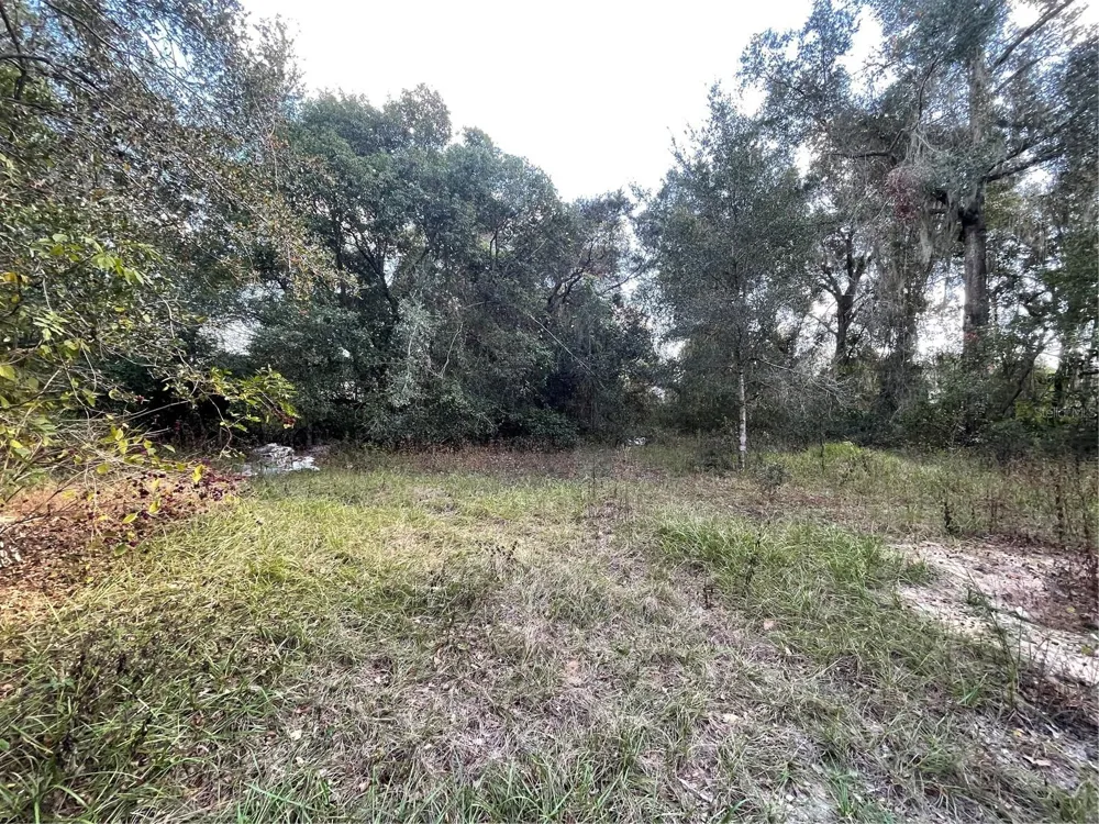 20180 SE 141ST STREET Umatilla, FL 32784