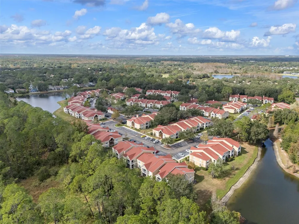 9481 HIGHLAND OAK DRIVE #1709 Tampa, FL 33647
